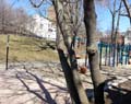 Parc Percy-Walters