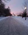 View from Olmsted Pathway Mont-Royal