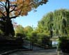 Beaubien Park