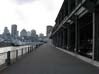 Alexandra Dock