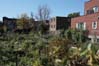 Jardin communautaire Saint-Denis