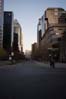 Brunante sur l'avenue McGill College